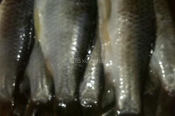 鲫鱼豆腐汤的做法图解1