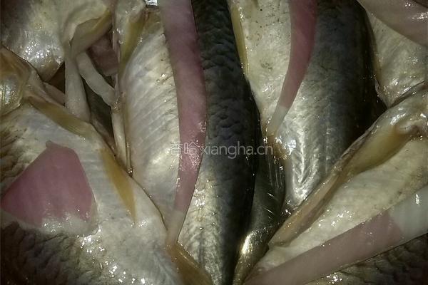 鲫鱼豆腐汤的做法图解2