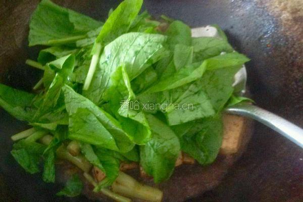 菜苔烧豆腐的做法图解5