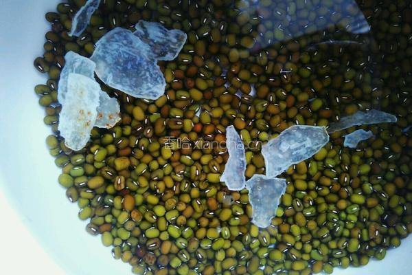 绿豆汤的做法图解2