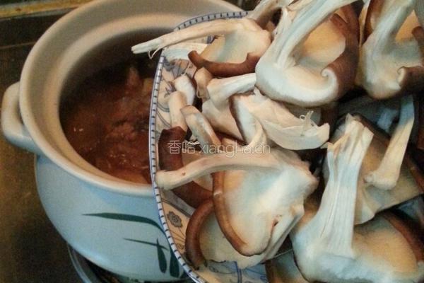 小鸡炖蘑菇的做法图解28