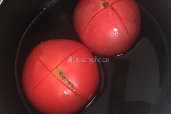 西红柿炖牛腩的做法图解6