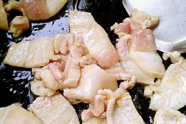 酸菜猪肉炖粉条的做法图解6