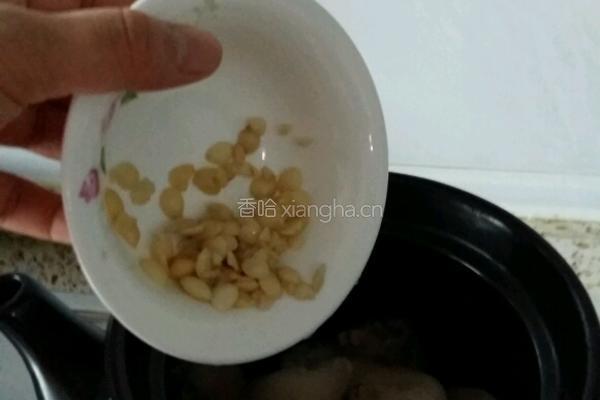 桃仁猪蹄汤的做法图解3