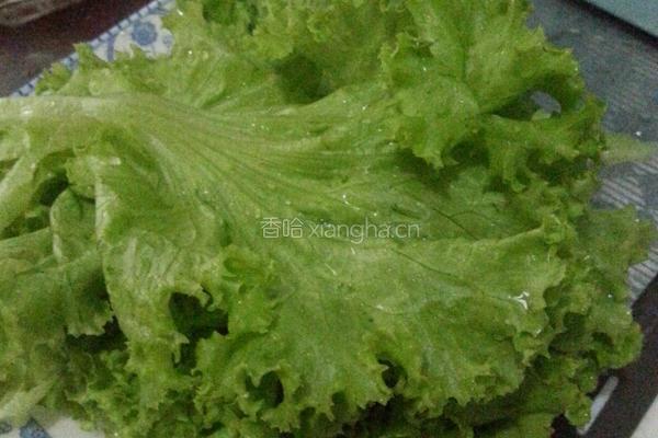 水果蔬菜沙拉的做法图解3