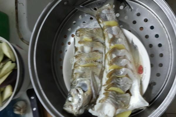 清蒸白鱼的做法图解2