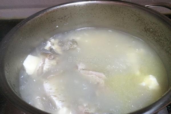 鲫鱼豆腐汤的做法图解4