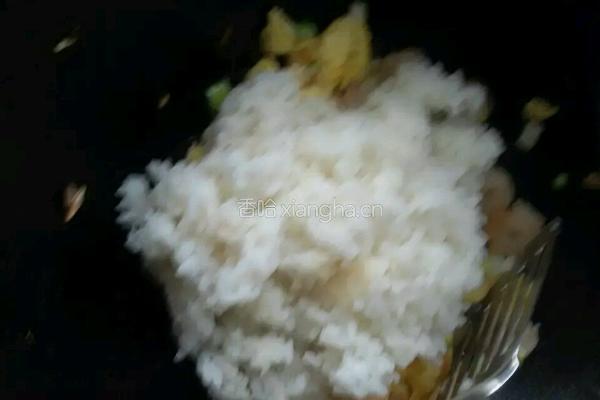 虾仁儿炒饭的做法图解6