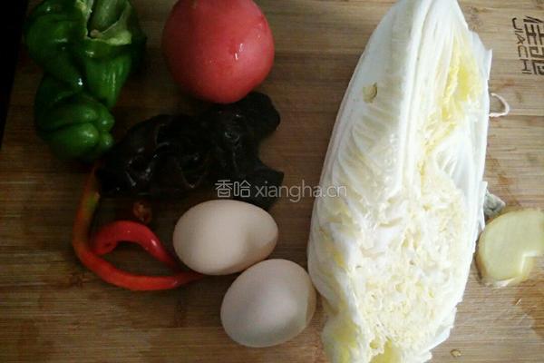 西红柿娃娃菜拌粉的做法图解2