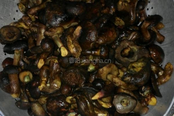 云南野生菌的做法图解1