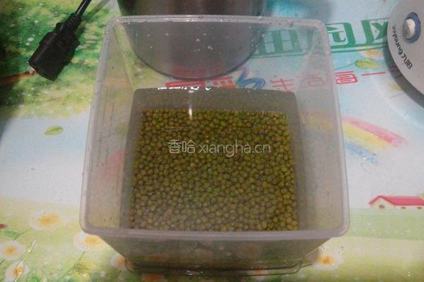 自制绿豆芽的做法图解1