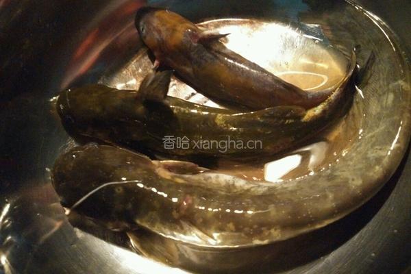 鲶鱼豆腐汤的做法图解2