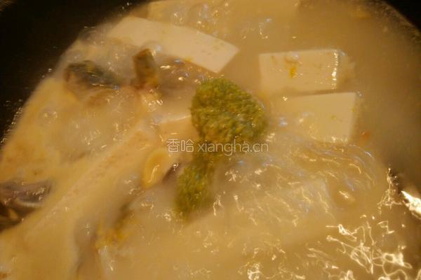 鲶鱼豆腐汤的做法图解9