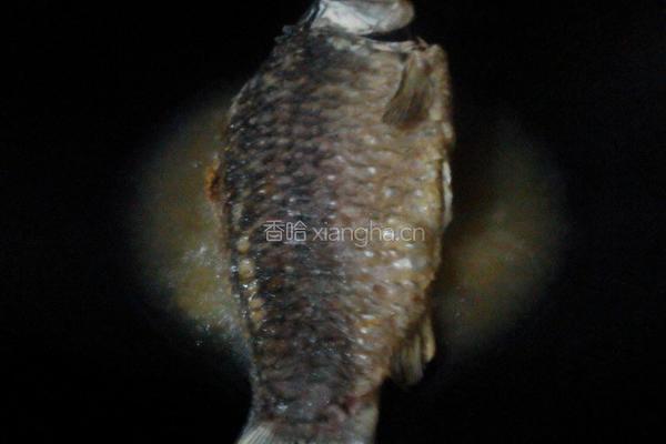 鲫鱼豆腐汤的做法图解2