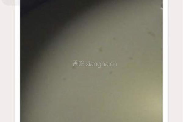 椰香芒果糯米糍的做法图解3