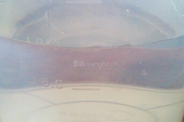 酸甜腌木瓜的做法图解5