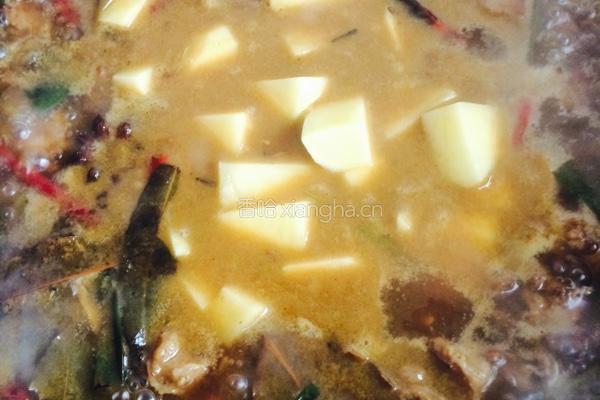 牛肉烧土豆的做法图解7