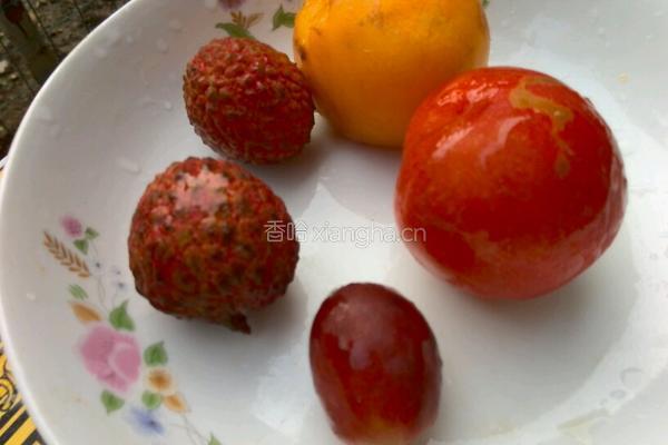 水果酸奶的做法图解2