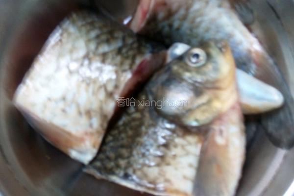 鲫鱼炖豆腐的做法图解1