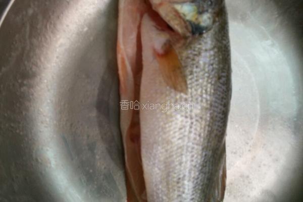 油皇鲈鱼的做法图解3
