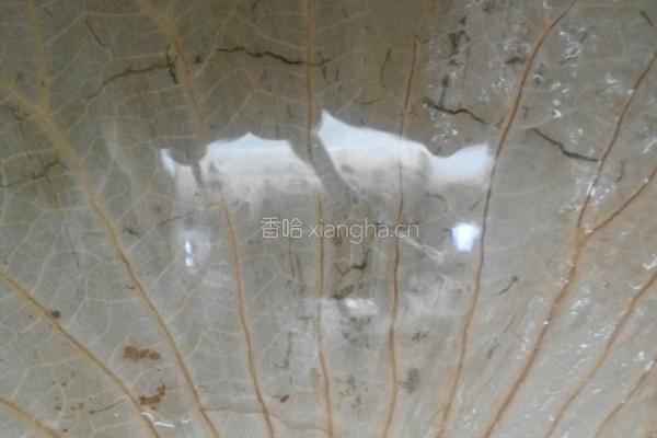 五香荷葉鸡的做法图解9