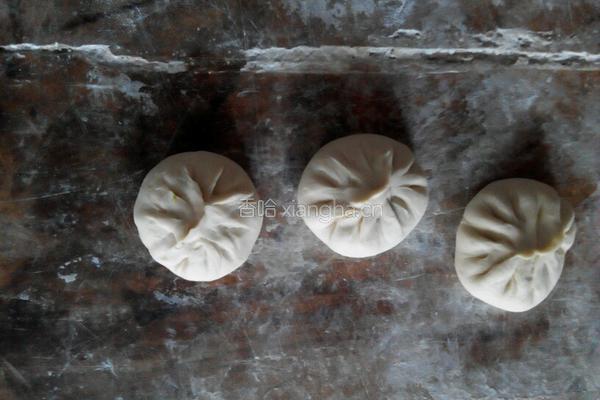 豆角猪肉包子的做法图解8