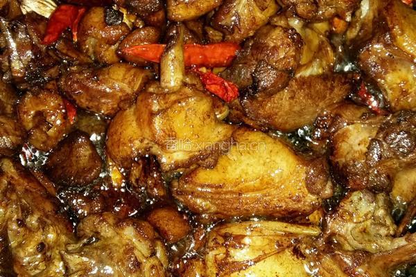 土豆鸭肉干锅的做法图解4