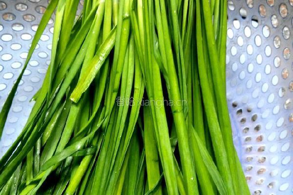 韭菜鸡蛋素饺的做法图解4
