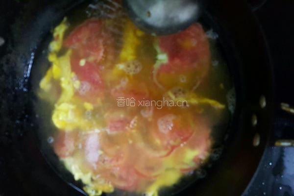番茄蛋汤的做法图解3