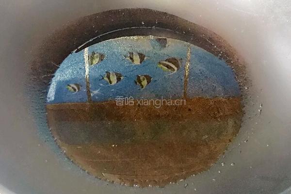 炖鲫鱼的做法图解4