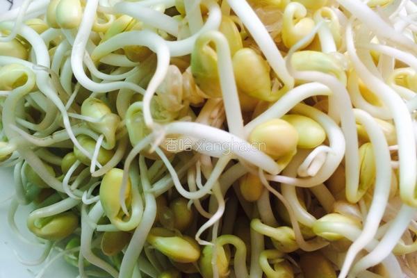干煸豆芽的做法图解1