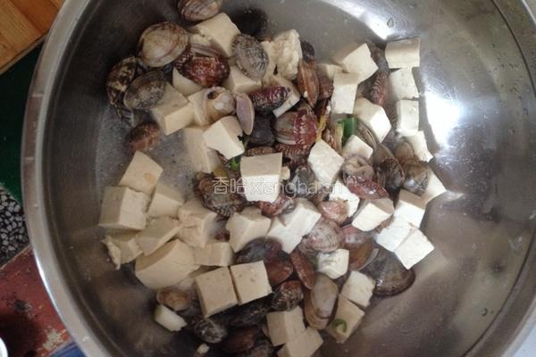 蛤蜊炖豆腐的做法图解4