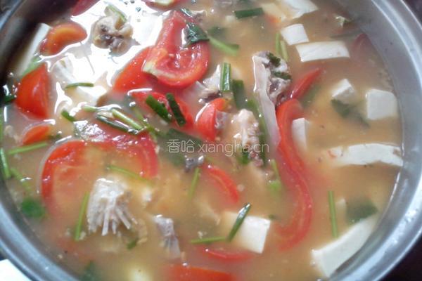 番茄白豆腐鱼头汤的做法图解5