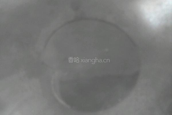 五香椒盐锅巴的做法图解3
