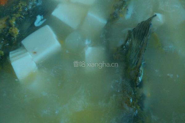 昂刺鱼汤的做法图解10