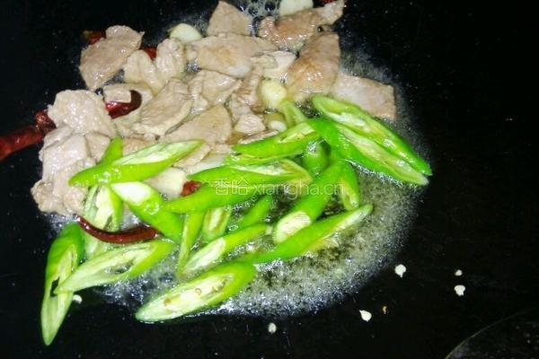 瘦肉土豆片的做法图解8