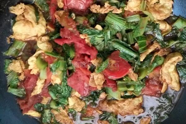手擀面的做法图解5