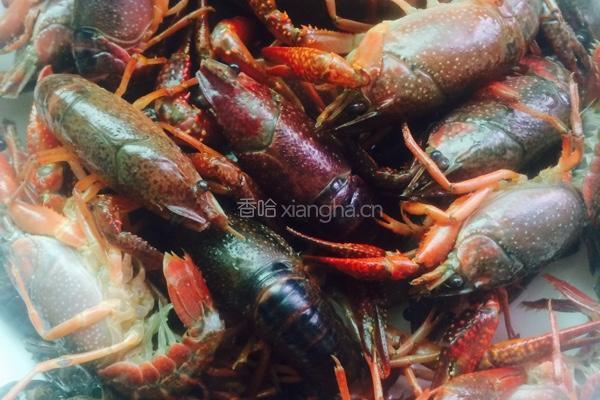 蒜香小龙虾的做法图解2