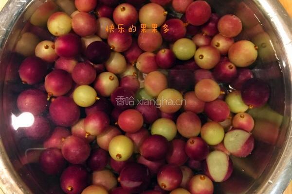 紫葡萄果酱的做法图解4