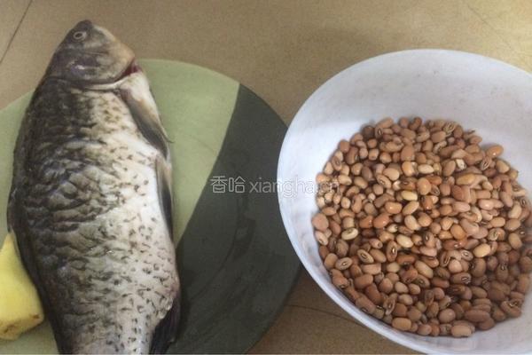 鲫鱼赤豆汤的做法图解1