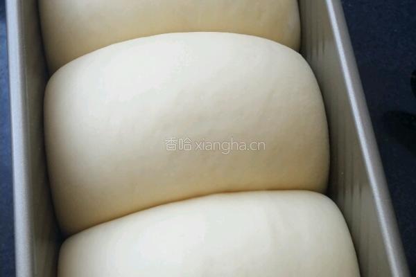 软吐司的做法图解8