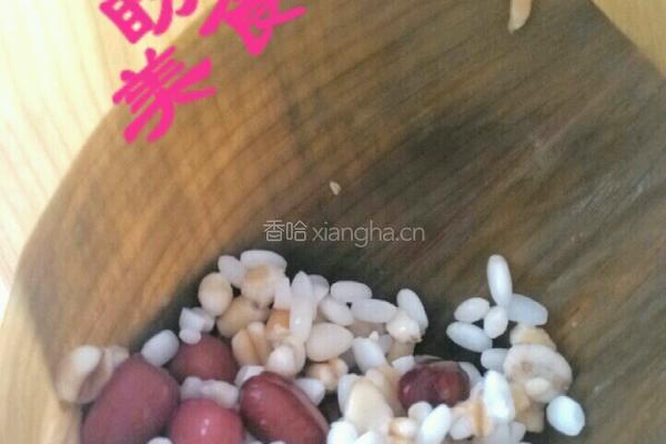 红枣粽子的做法图解5