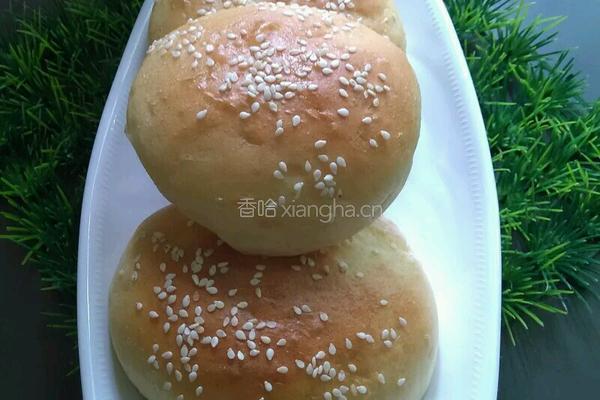 汉堡面包