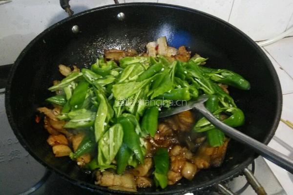 青椒回锅肉的做法图解4