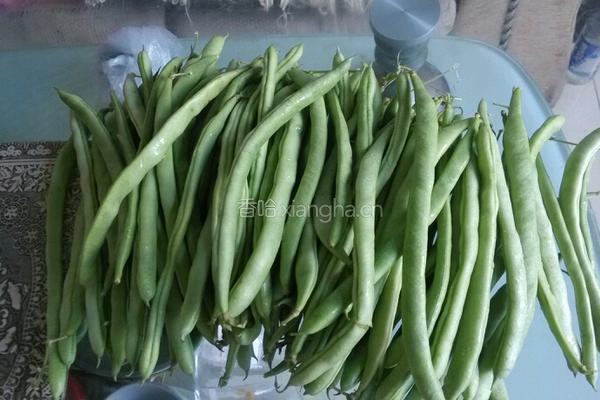 白油四季豆的做法图解1