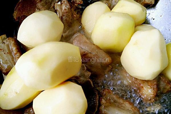 土豆炖排骨的做法图解8