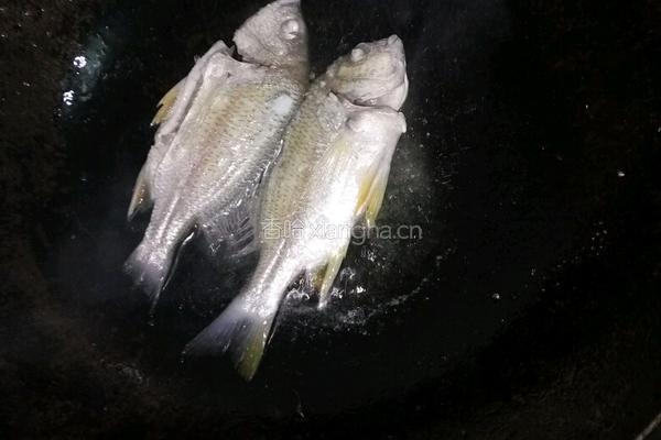豆腐黄腊鱼汤的做法图解2