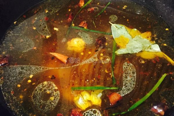 麻辣牛肉粉丝的做法图解5