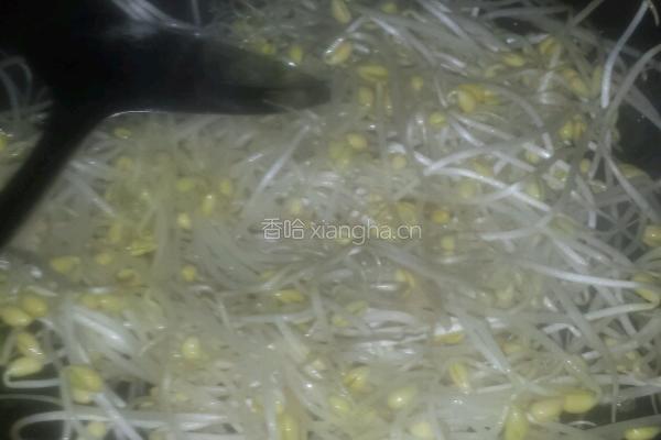 炒黄豆芽的做法图解3