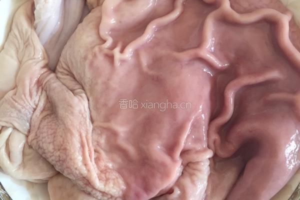 双椒酸菜炒猪肚的做法图解1